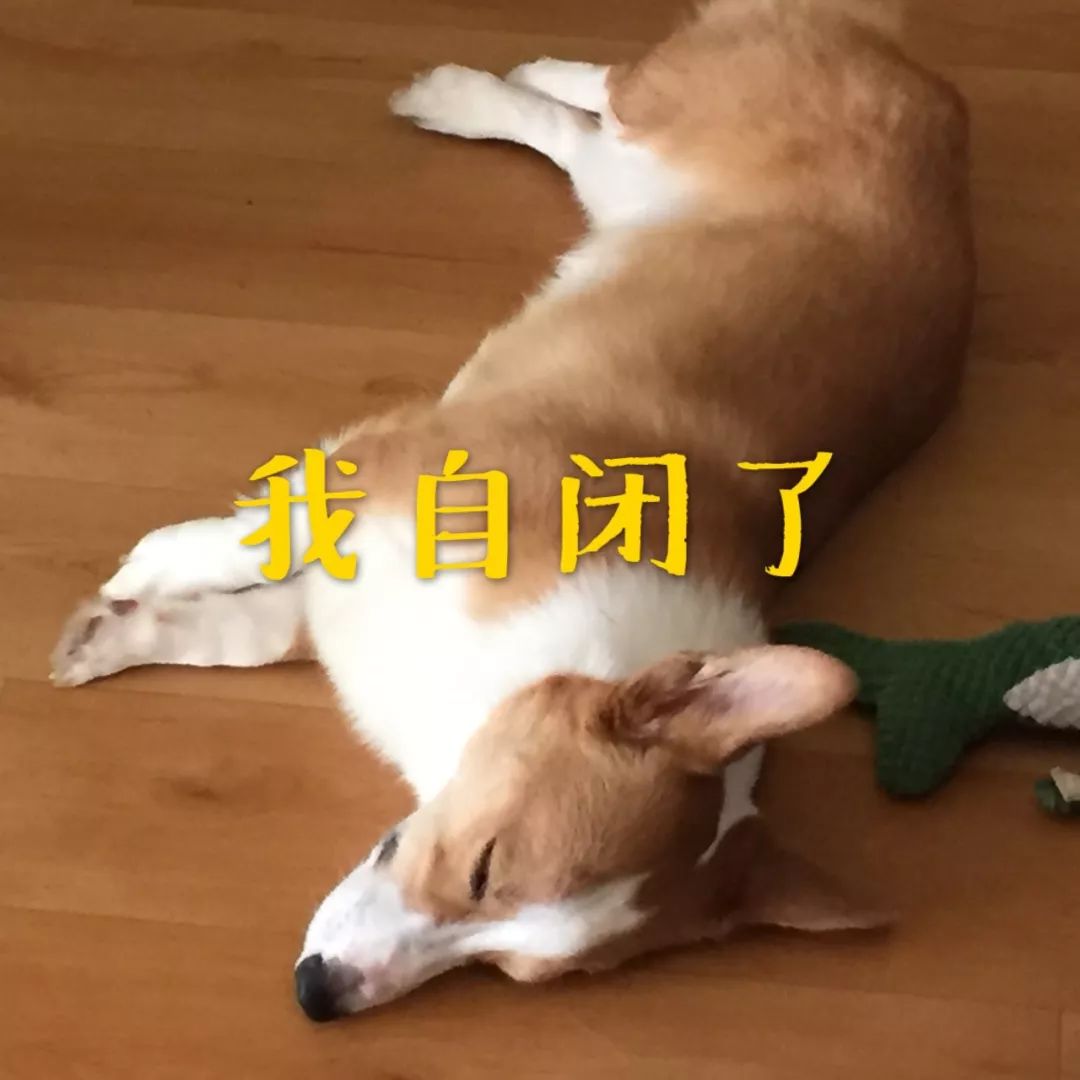 DƬ